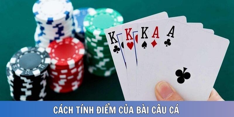 Cách tính điểm xác định thắng - thua của bài câu cá