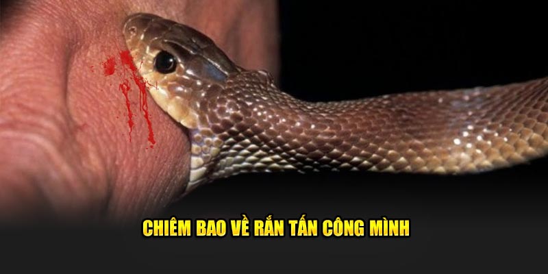 Chiêm bao nằm mơ thấy bị rắn cắn đánh số gì may mắn